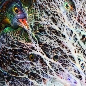 Meet your Posher, Yadaris keriann